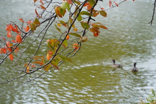 あるサロンコンサートにて