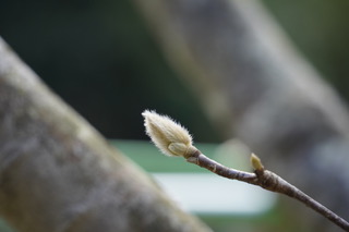 逆境がもたらす幸せ